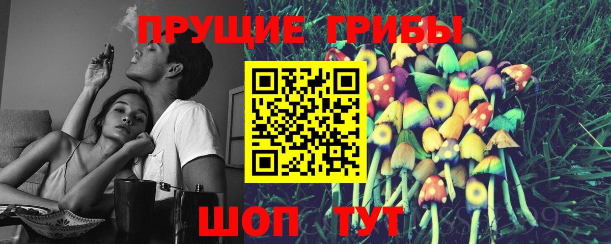 Белая Калитва  Псилоцибиновые грибы мухоморы  Вход с VPN  Псилоцибиновые грибы Psilocybe 